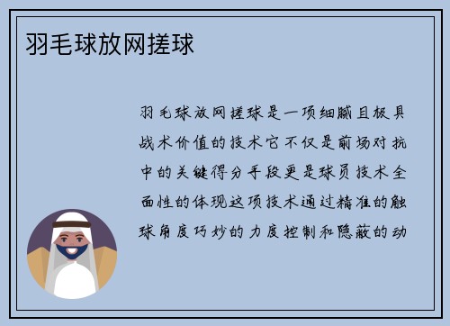 羽毛球放网搓球