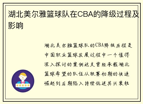 湖北美尔雅篮球队在CBA的降级过程及影响