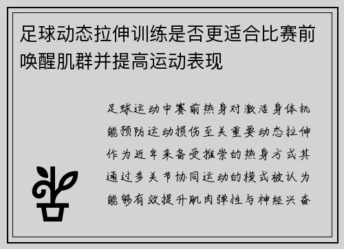 足球动态拉伸训练是否更适合比赛前唤醒肌群并提高运动表现